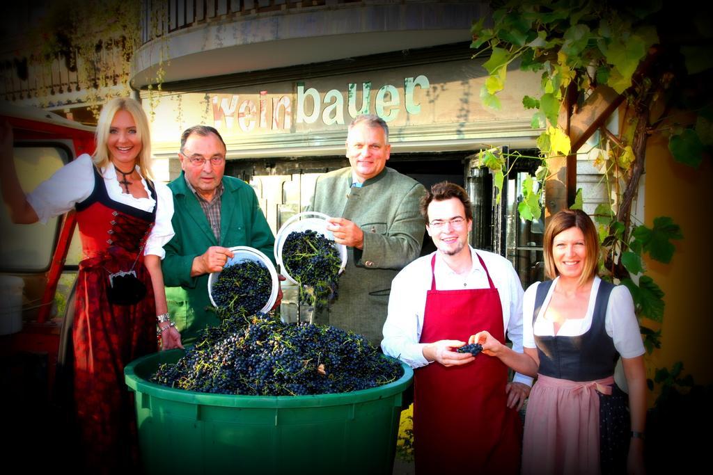 Pension Weinbauer Hofkirchen im Traunkreis Exterior foto
